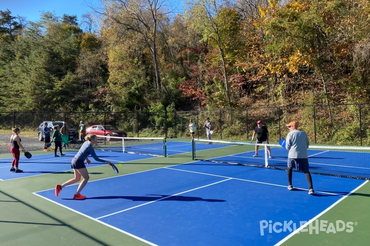 Photo of Pickleball at Altamont Park